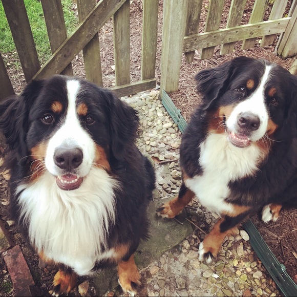 Meet your Posher, Kimberly - Picture 2 of 3